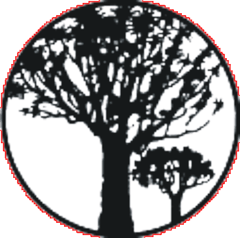 Logo der Deutsch-Namibischen Gesellschaft e.V.