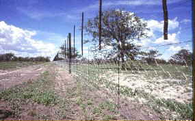 Der wildsichere Schutzzaun   (Foto: Andreas Wienecke)