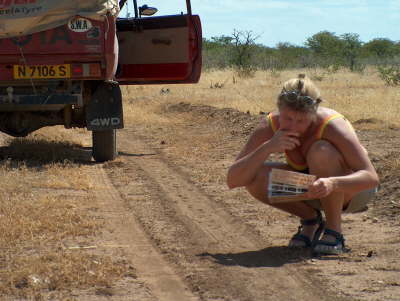  berprfen immer wieder die Richtung ...