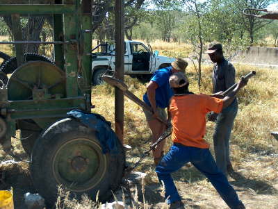  wir arbeiten wie verrckt ...