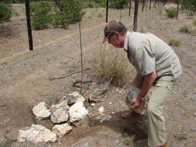  auch wenn es manchmal schwer ist ...