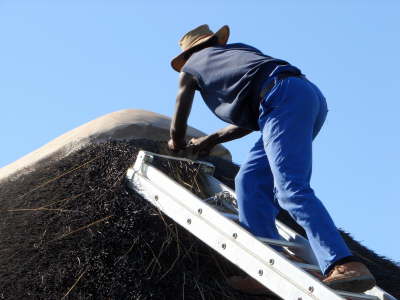  wollen hoch hinaus ...