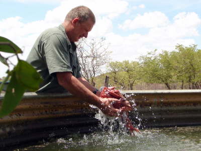  und wir sind natrlich alle mit Wasser gewaschen ...