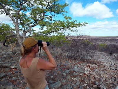  und blicken optimistisch in die Zukunft ...